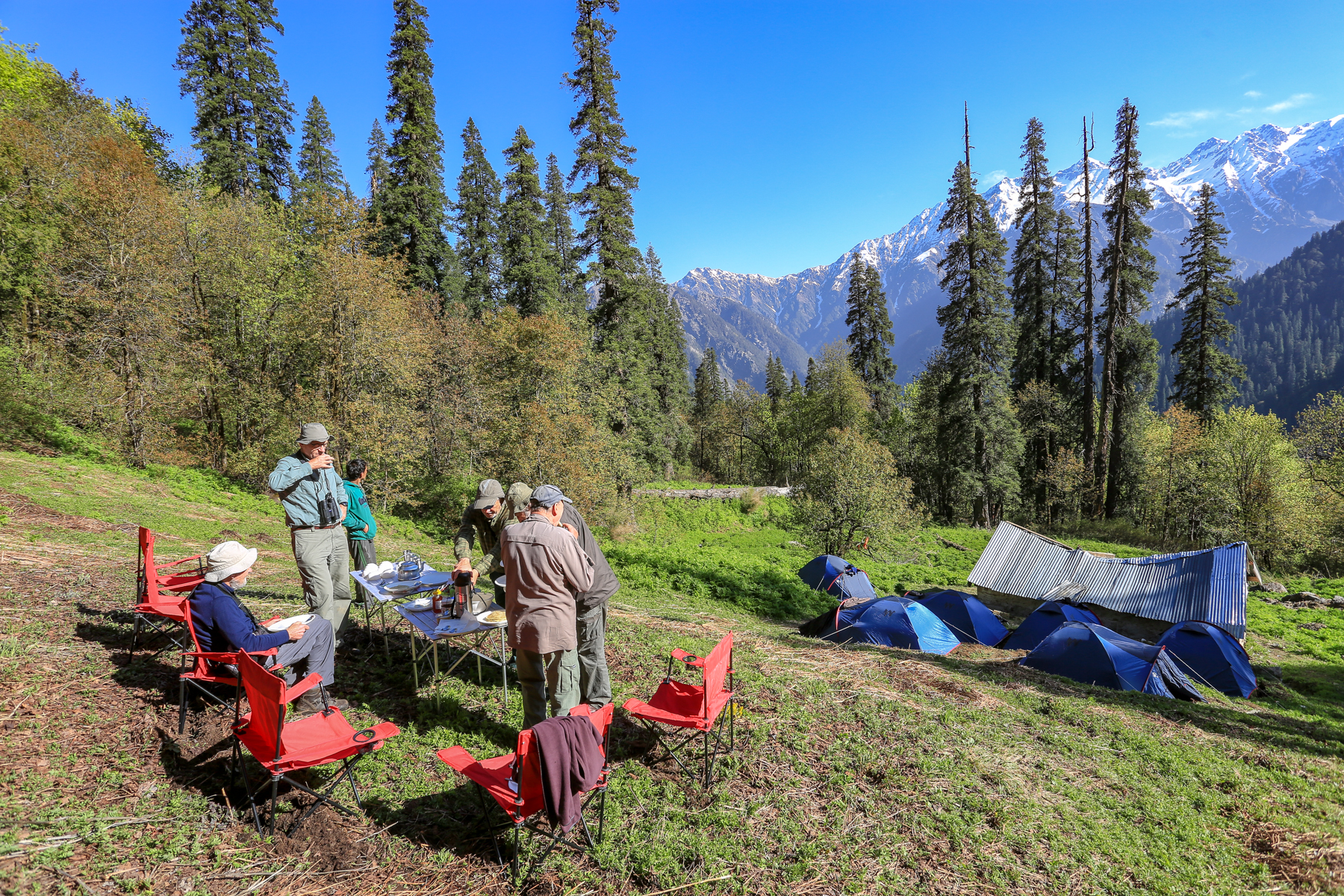 The Birdquest 'Tragopan Camp' in Great Himalaya National Park, northwest India (image by Mark Beaman)