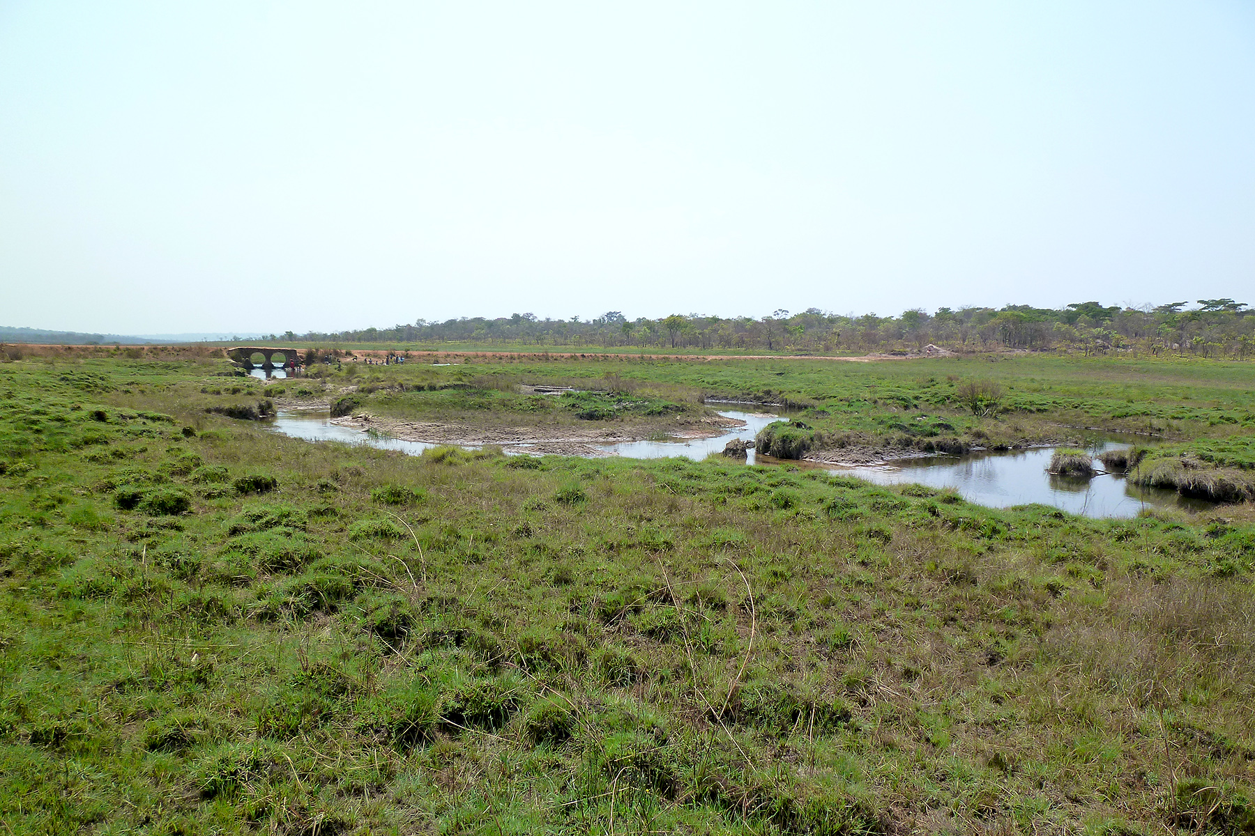 Dambo habitat in Mwinilunga (image by Nik Borrow)