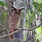 Forthcoming tours that are already operating and have space