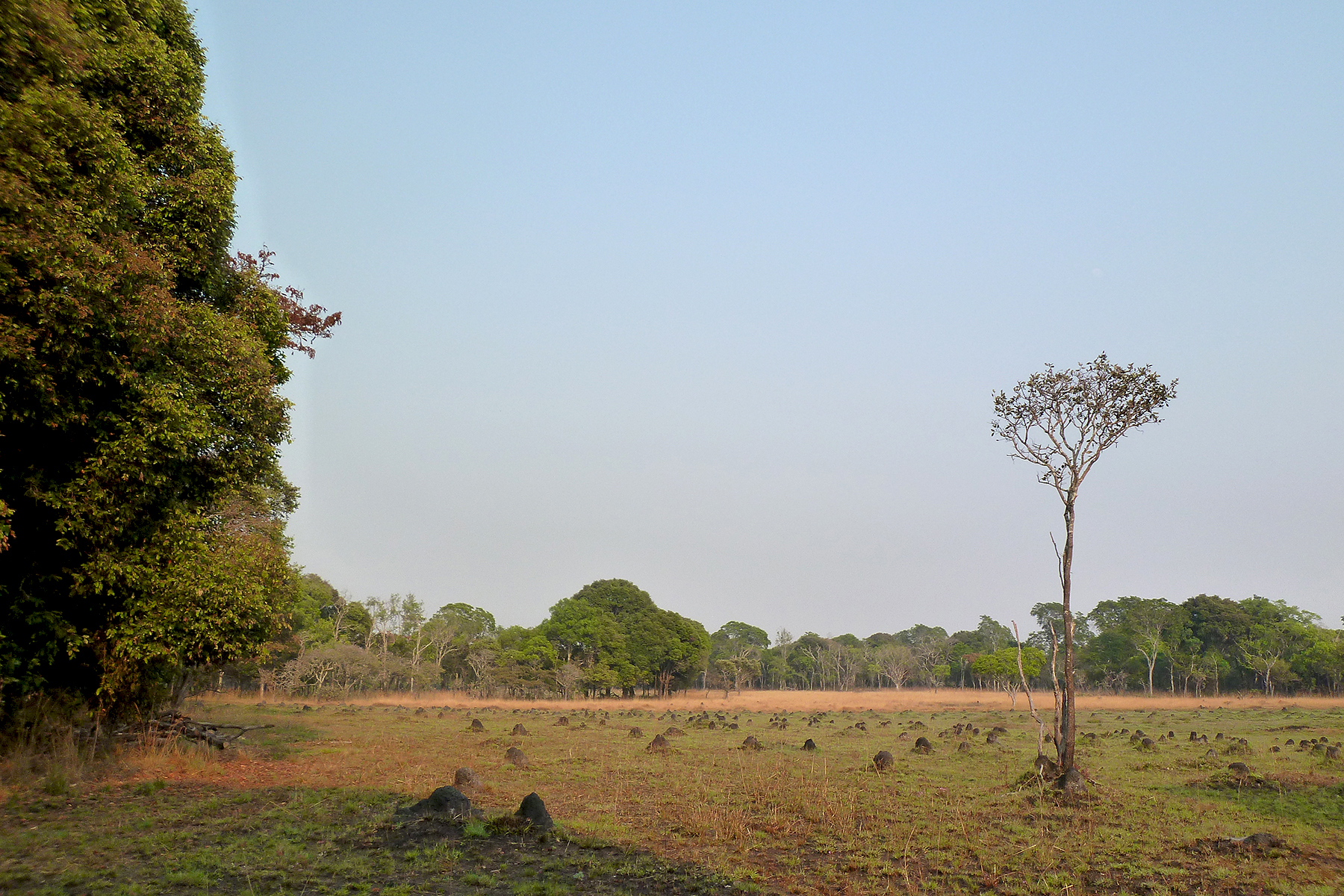 Mwinilunga scene (image by Nik Borrow)
