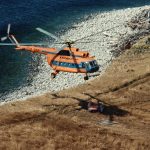 39 YEARS AND COUNTING – BIRDQUEST TALES FROM THE FIELD: Number 2