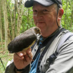 Tour leader with Maleo chick (image by Dave Farrow's phone)