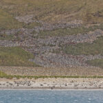 Bay of Isles (image by Pete Morris)