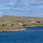 New Island (image by Pete Morris)