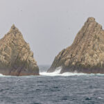 Shag Rocks (image by Pete Morris)