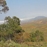 Mount Moco (image by Mark Van Beirs)