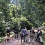 Birding in Danum Valley (image by Dáni Balla)