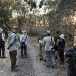 Our group enjoying scope views of Bali Myna in Bali Barat NP (image by Dáni Balla)