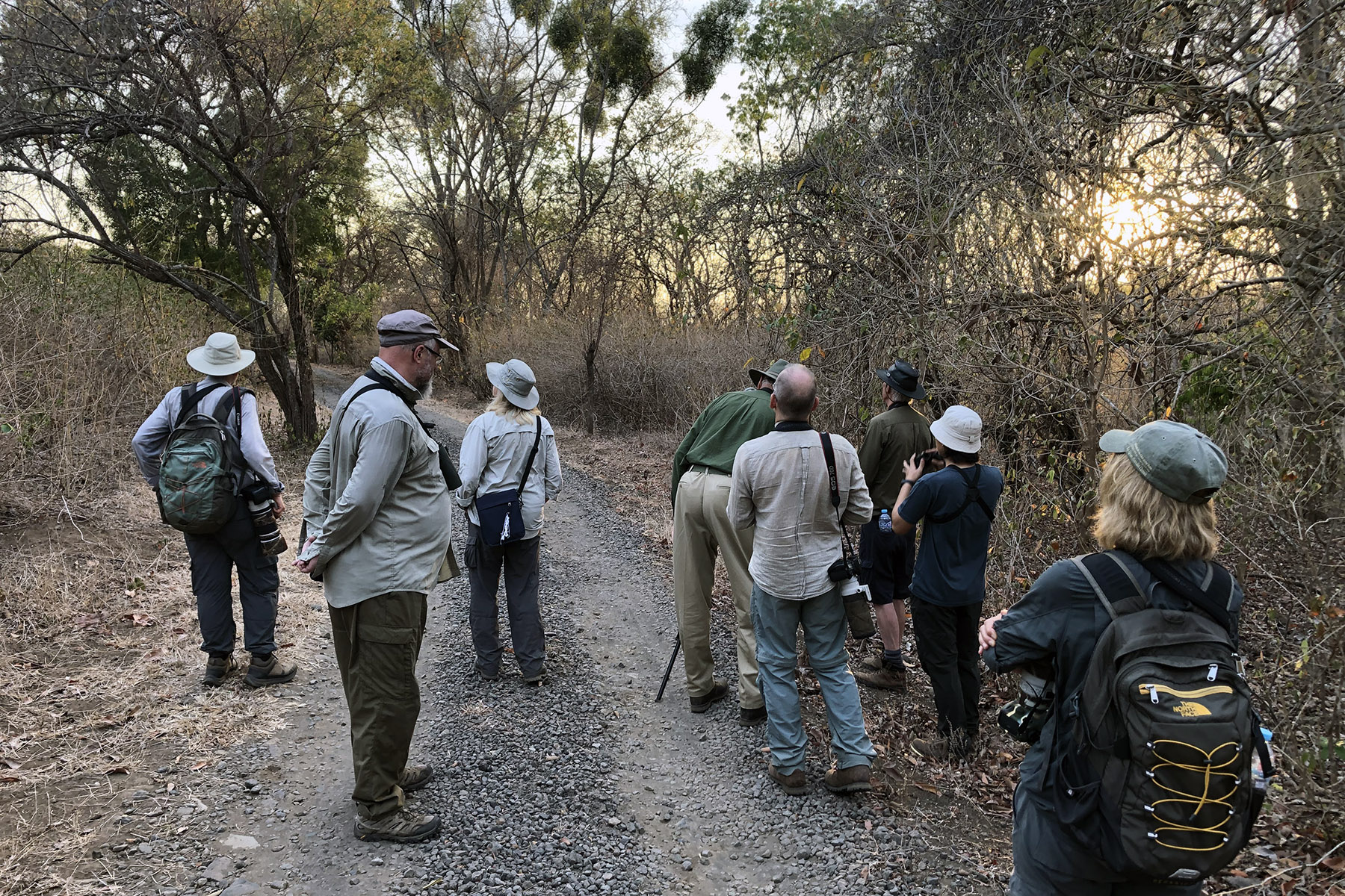 Our group enjoying scope views of Bali Myna in Bali Barat NP (image by Dáni Balla)