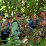 Cassowary watchers at Iron Range (image by Mike Watson)