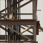 Grey Falcon (image by Mike Watson)