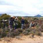 Birding at Mount Trio (image at Hannu Jännes)