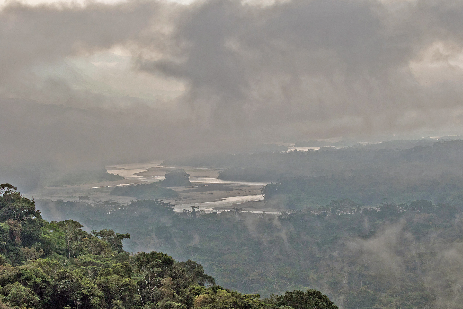 Amazonia (image by Pete Morris)