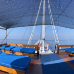 Seawatching from the boat (image by Craig Robson)