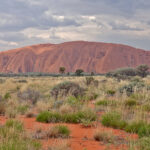 Uluru (image by Richard Drew)