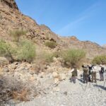 Birding in one of the beautiful wadi's of Oman (image by Hannu Jännes)