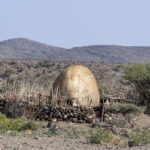 Afar dwelling (image by Mark Beaman)