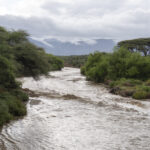 Flash flood (image by Mark Beaman)