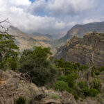 Forêt du Day, Goda Mountains (image by Mark Beaman)