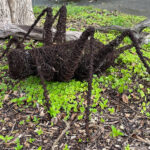 Giant Weta statue (image by Dave Howes)