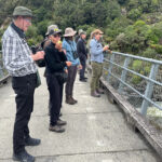 Looking for Blue Duck (image by Dave Howes)