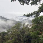 Manuela NP (image by Dáni Balla)