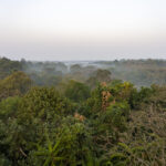 Satchari National Park (image by Mark Beaman)