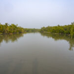 The Sundarbans (image by Mark Beaman)