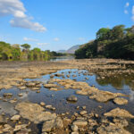 Rupununi river at Wichabai (image by Eustace Barnes)