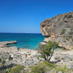 Cabo Rojo in the Dominican Republic is a good site for White-tailed Tropicbirds (image by Eustace Barnes)