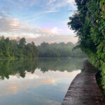 Lower Peirce Reservoir (image by Craig Robson)