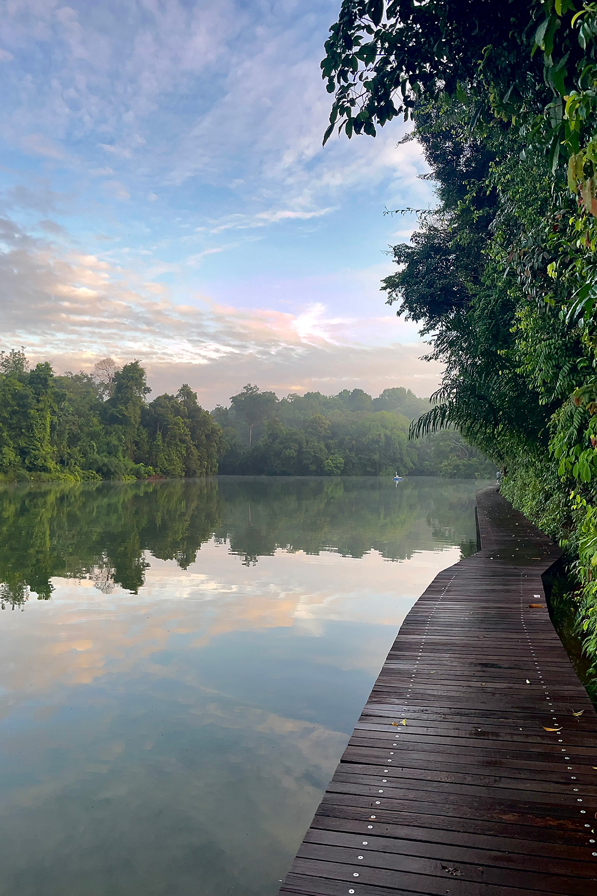 Lower Peirce Reservoir (image by Craig Robson)