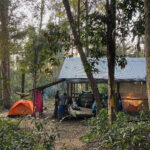 On the trail of grassland specialities (image by Sophal Chen)