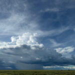 Ndutu Plains (image by Nik Borrow)