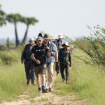 On the trail of grassland specialities (image by Sophal Chen)