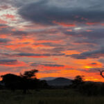 Sunset over the Serengeti (image by Nik Borrow)