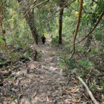 Uphill climb to Mount Aural (image by Craig Robson)