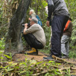 Waiting for skulkers at Fraser's Hill (image by Craig Robson)