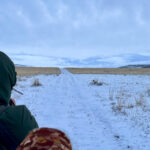 Watching lekking Sharp-tailed Grouse (image by Craig Robson)