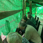 Watching pheasants and pittas at Changkran (image by Craig Robson)