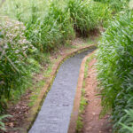One of the many levadas that connect the entire island to its water sources (image by Diedert Koppenol)