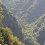 The inner parts of Madeira are very reminiscent of jungle-like mountain ranges found in Eastern Europe and Asia (image by Diedert Koppenol)