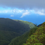 Miradouro do Pico Bartolomeu, the place to see Priolo (image by Diedert Koppenol)
