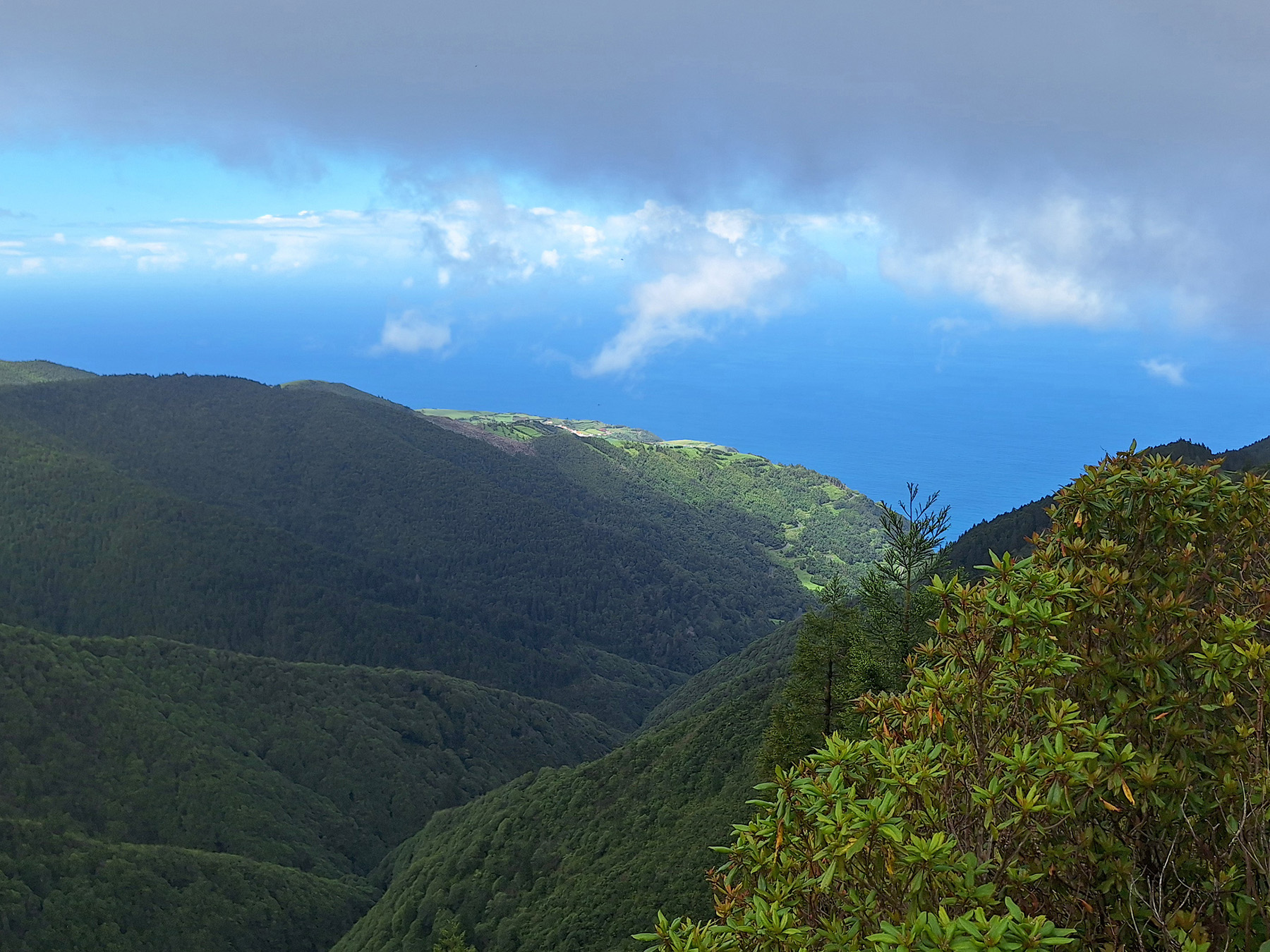 Miradouro do Pico Bartolomeu, the place to see Priolo (image by Diedert Koppenol)