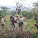 Birding near Pushkar (image by Hannu Jännes)