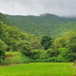 The monsoon landscape in Pune (image by Hannu Jännes)