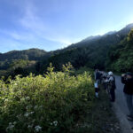 Birding on Flores (image by Dáni Balla)