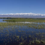 The Jargalant range from Khar Us Nuur (image by Mark Beaman)