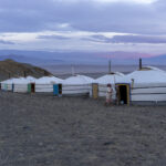 Our Jargalant camp at dawn (image by Mark Beaman)