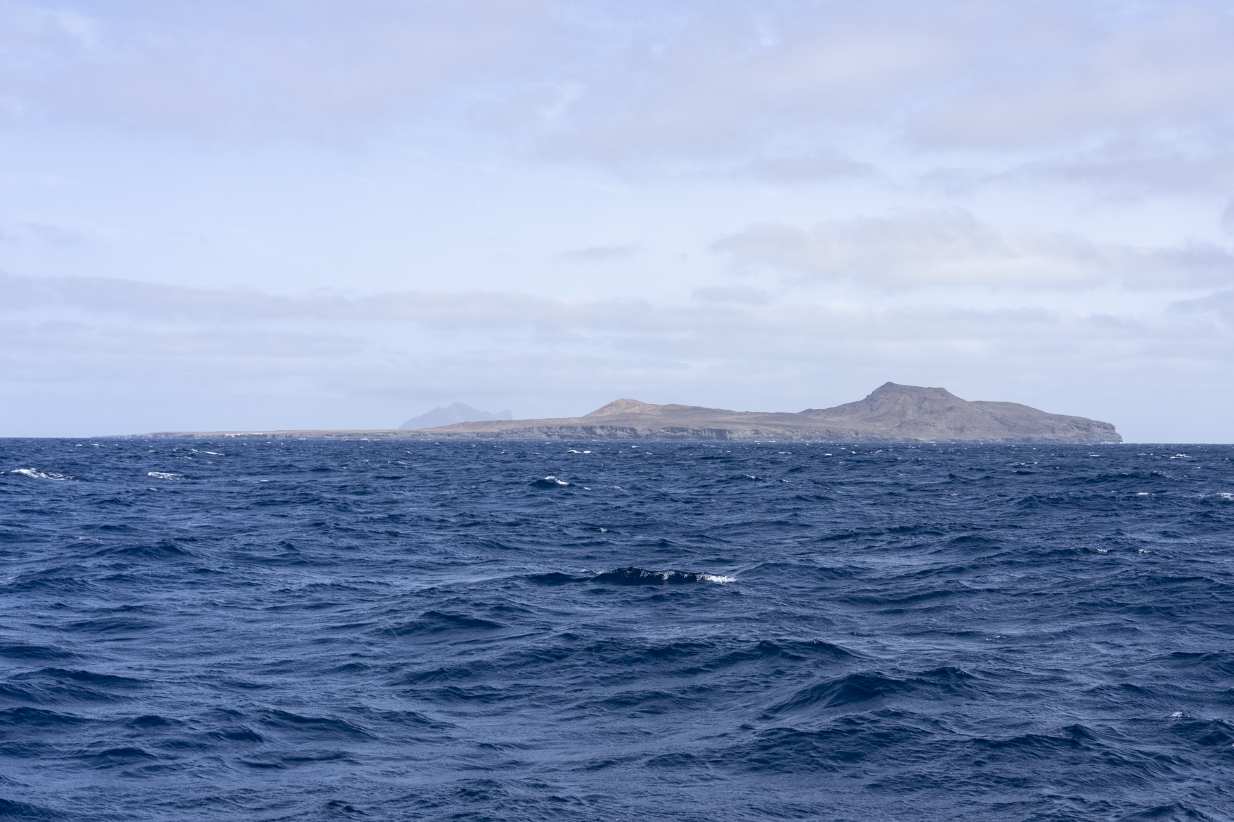 Raso (image by Mark Beaman)